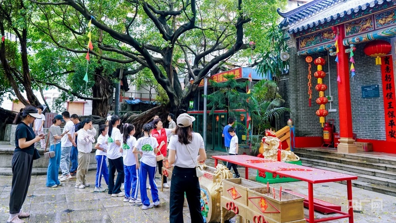 古荔新绿映南山南山古树荔枝文化推广活动再续守护之约(图6)