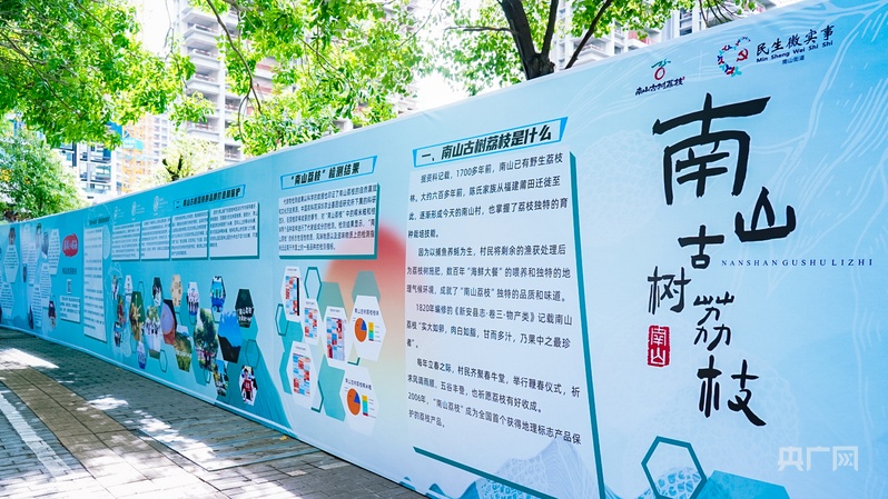 古荔新绿映南山南山古树荔枝文化推广活动再续守护之约(图8)
