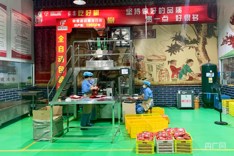甘肃天水甘谷县：科技赋能辣椒全产业链发展(图3)