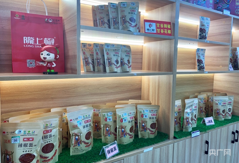 甘肃天水甘谷县：科技赋能辣椒全产业链发展(图4)