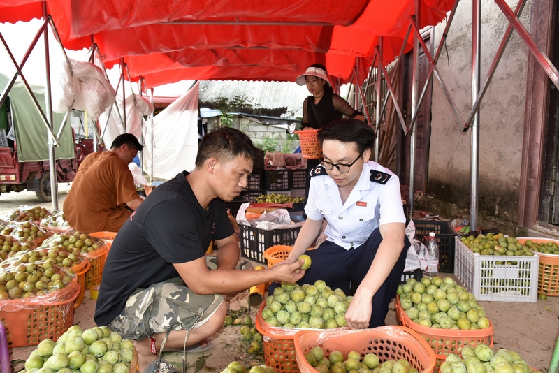 黔西南：税惠助夏收果农添动力(图1)