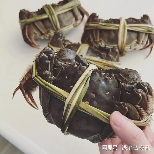 购买的礼盒大闸蟹为什么是捆扎的？(图1)