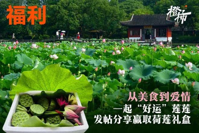 荷莲礼盒、莫言话剧主创见面会、便携固体香膏……橙柿福利多多(图2)