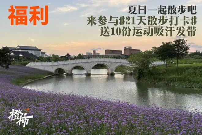 荷莲礼盒、莫言话剧主创见面会、便携固体香膏……橙柿福利多多(图8)