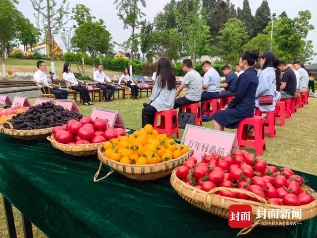 基层干部群众当“新闻发言人”四川内江首场户外新闻发布会说了啥？(图2)