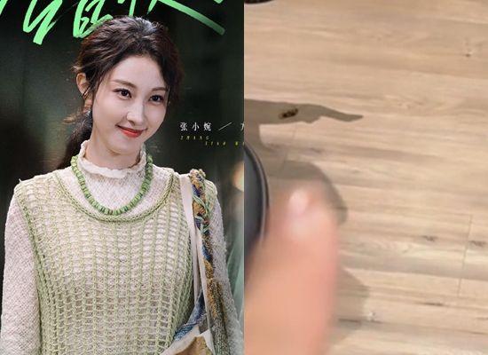 快递纸箱藏蟑螂卵？女星家中不下厨「惊见巨型蟑螂入侵」专家证实了(图1)