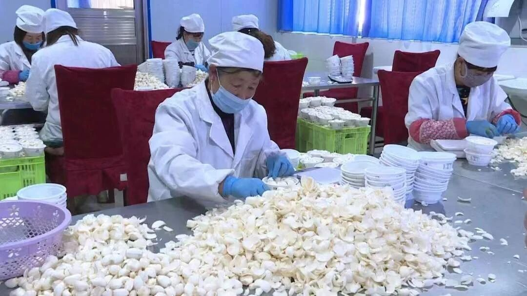 从洮河岸边到杭州“客厅”——甘肃临洮县域品牌的升维破圈之路(图1)