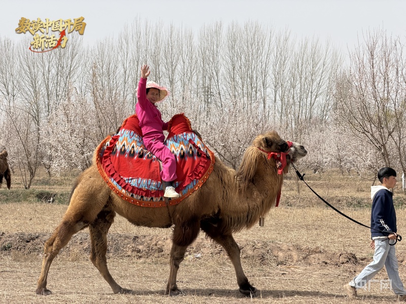 数读中国开局新活力丨272条研学线春假文旅“大礼包”尽显多元魅力(图3)