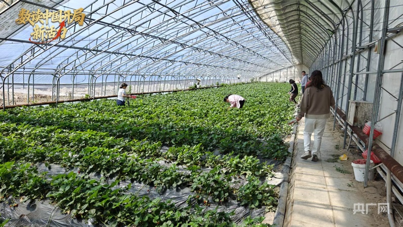 数读中国开局新活力丨272条研学线春假文旅“大礼包”尽显多元魅力(图4)