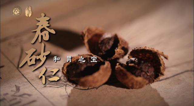 广东三宝：媒体+赋能岭南道地广货“破壁出圈”(图4)