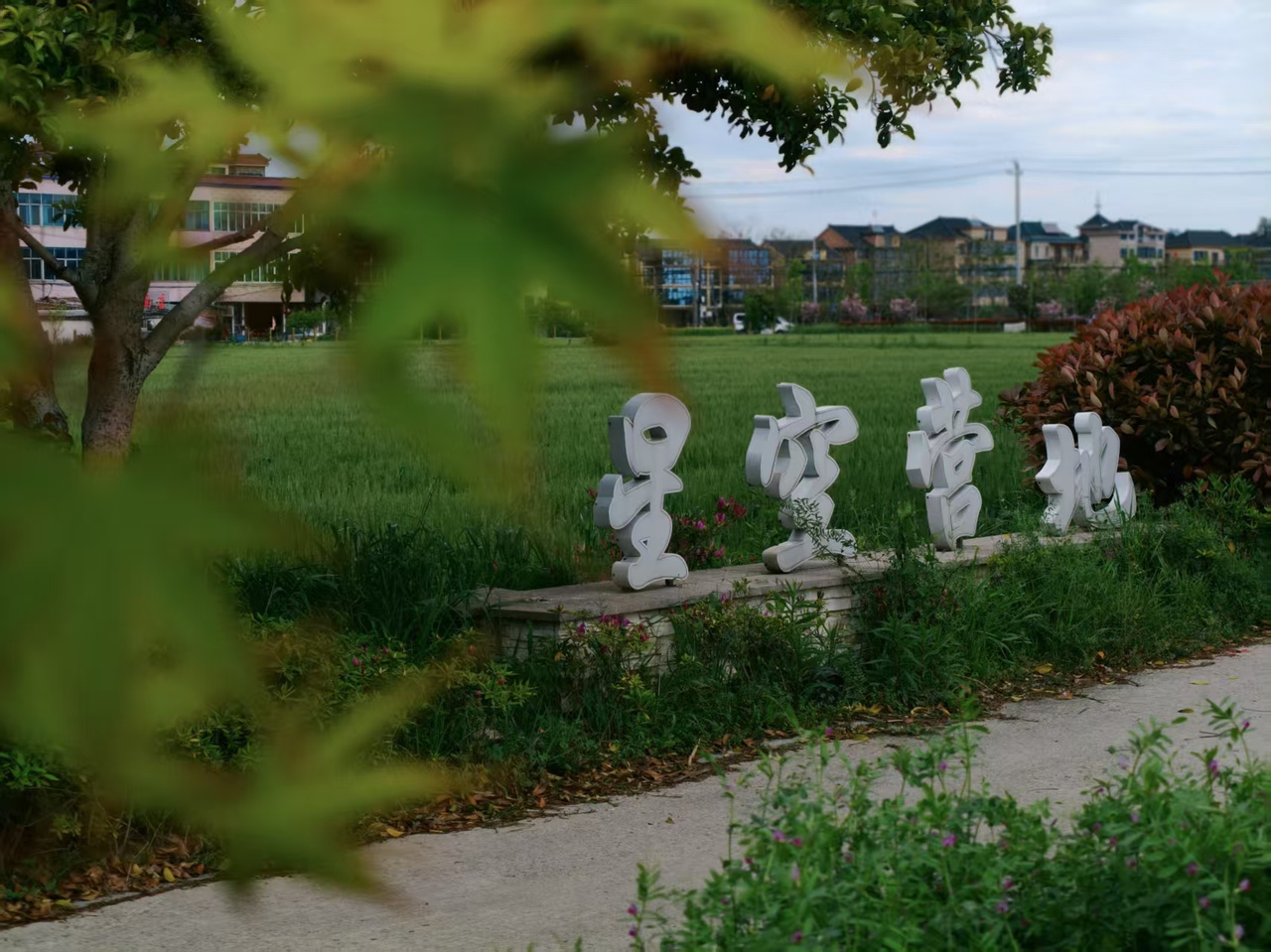 从40份订单到100万营业额一位乡村CEO的“双村记”(图4)